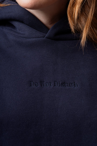 The In Transit Hoodie (Blue)
