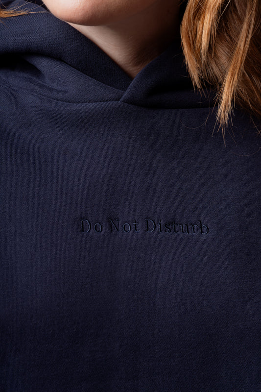 The In Transit Hoodie (Blue)